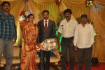 Director Senthinathan Son Wedding Reception - 57 of 63