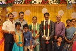 Director SP Muthuraman Family Wedding Reception - 8 of 69