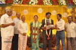 Director SP Muthuraman Family Wedding Reception - 38 of 69