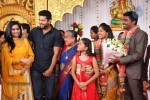 DOP Priyan Daughter Wedding Reception - 9 of 46