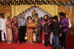 DOP Priyan Daughter Wedding Reception - 40 of 46