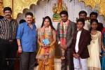 DOP Priyan Daughter Wedding Reception - 45 of 46