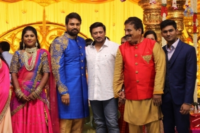 FEFSI Vijayan Son Wedding Reception Photos - 8 of 20