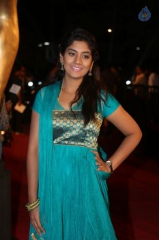 Gemini TV Puraskaralu 2016 Red Carpet 1 - 13 of 84