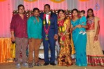 harinath-krishnaveni-wedding-reception