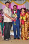 harinath-krishnaveni-wedding-reception