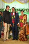 harinath-krishnaveni-wedding-reception