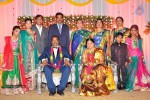 Harinath - Krishnaveni Wedding Reception - 139 of 151