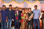 harinath-krishnaveni-wedding-reception