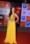 hot-celebs-at-siima-2014