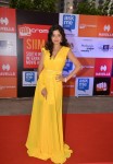 hot-celebs-at-siima-2014