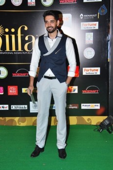 IIFA Utsavam 2016 Photos 1 - 50 of 110