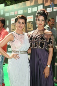 IIFA Utsavam 2017 Awards 2 (Day1) - 24 of 112