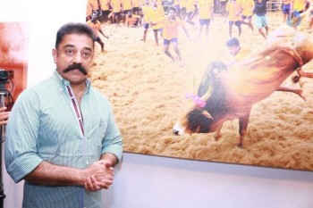 Jallikattu Photo Exhibition Opening - 22 of 23