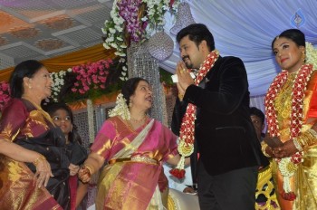 Jayachitra Son Amresh Wedding Reception - 19 of 102