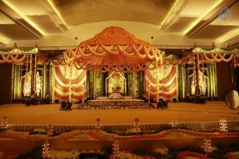 Krish - Ramya Wedding Photos - 16 of 59
