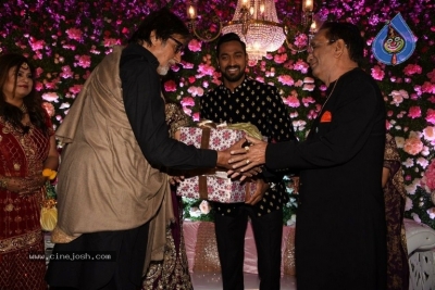 Hardik Pandya Brother Krunal Pandya Reception Cermony - 9 of 15