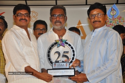 MAA Silver Jubilee Press Meet - 13 of 21