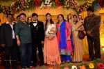 Mansoor Ali Khan Daughter Wedding Reception - 91 of 101