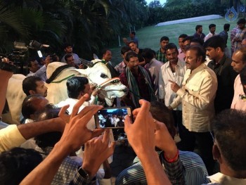 Mohan Babu visited Bull Show Event - 9 of 21