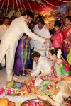 Nandamuri Mohana Krishna Daughter Marriage Photos - 28 of 249