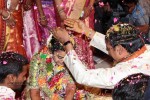 Nandamuri Mohana Krishna Daughter Marriage Photos - 42 of 249