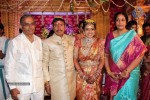 Nandamuri Mohana Krishna Daughter Marriage Photos - 151 of 249