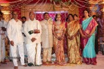 Nandamuri Mohana Krishna Daughter Marriage Photos - 154 of 249