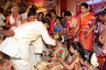 Nandamuri Mohana Krishna Daughter Marriage Photos - 248 of 249