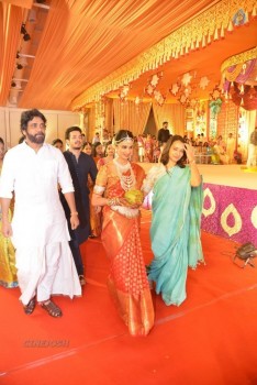 Nimmagadda Prasad Daughter Wedding 1 - 60 of 83