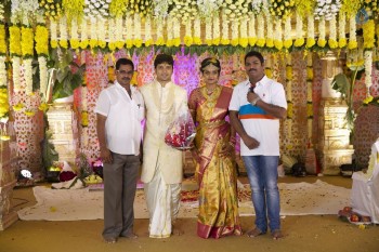 Prabhu Teju and Varsha Wedding Reception Photos - 2 of 58