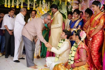 Prabhu Teju and Varsha Wedding Reception Photos - 18 of 58