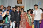Producer Paras Jain Daughter Wedding Photos - 8 of 27