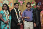 Producer Swaminathan Son Wedding Reception - 17 of 89