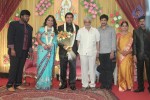 Producer Swaminathan Son Wedding Reception - 19 of 89
