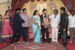 Producer Swaminathan Son Wedding Reception - 67 of 89