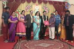 Producer Swaminathan Son Wedding Reception - 72 of 89