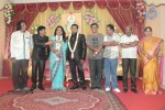 Producer Swaminathan Son Wedding Reception - 79 of 89