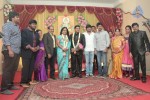 Producer Swaminathan Son Wedding Reception - 81 of 89