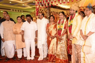 Puskur Rammohan Rao Daughter Wedding Photos - 16 of 47