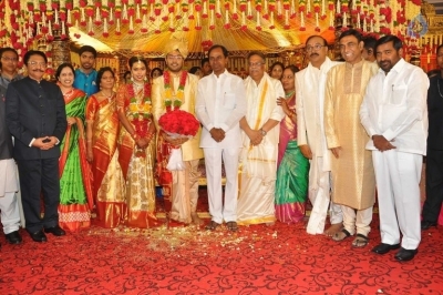 Puskur Rammohan Rao Daughter Wedding Photos - 18 of 47