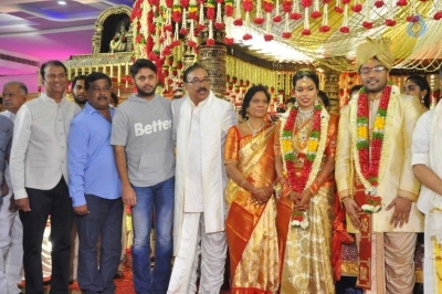 Puskur Rammohan Rao Daughter Wedding Photos - 25 of 47