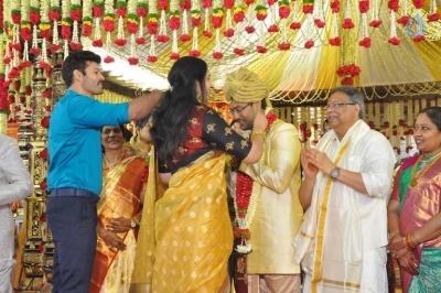 Puskur Rammohan Rao Daughter Wedding Photos - 38 of 47