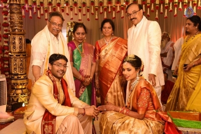 Puskur Rammohan Rao Daughter Wedding Photos - 41 of 47