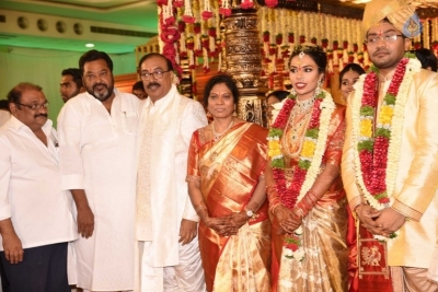 Puskur Rammohan Rao Daughter Wedding Photos - 44 of 47