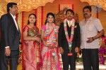 Raj TV MD Daughter Marriage Reception - 6 of 53