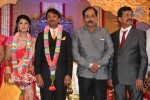 Raj TV MD Daughter Marriage Reception - 10 of 53