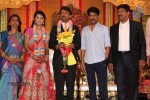 Raj TV MD Daughter Marriage Reception - 12 of 53