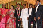 Raj TV MD Daughter Marriage Reception - 17 of 53