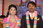 Raj TV MD Daughter Marriage Reception - 19 of 53